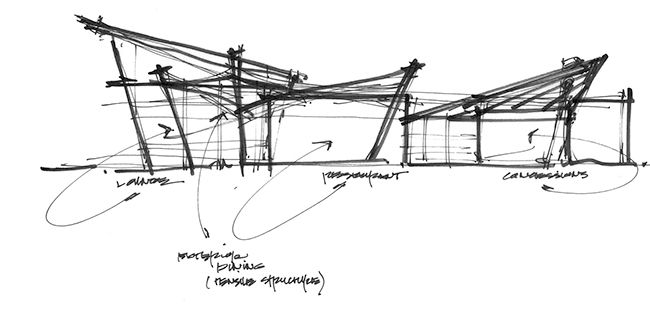 architectural-parti-sketch