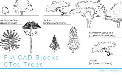 CAD Blocks Trees CT01