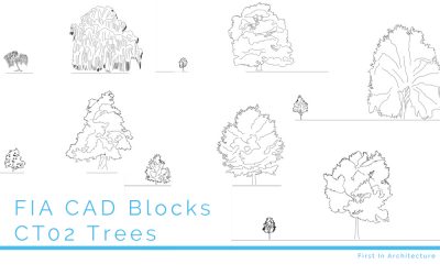 CAD Blocks Trees CT02