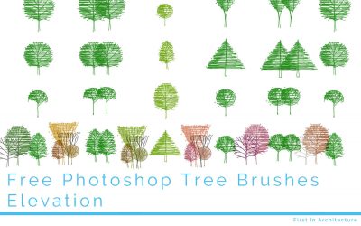 免费的Photoshop树海拔刷子
