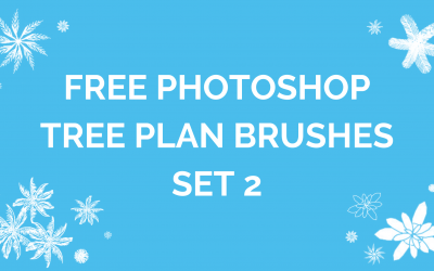 免费的Photoshop笔刷设置2树计划